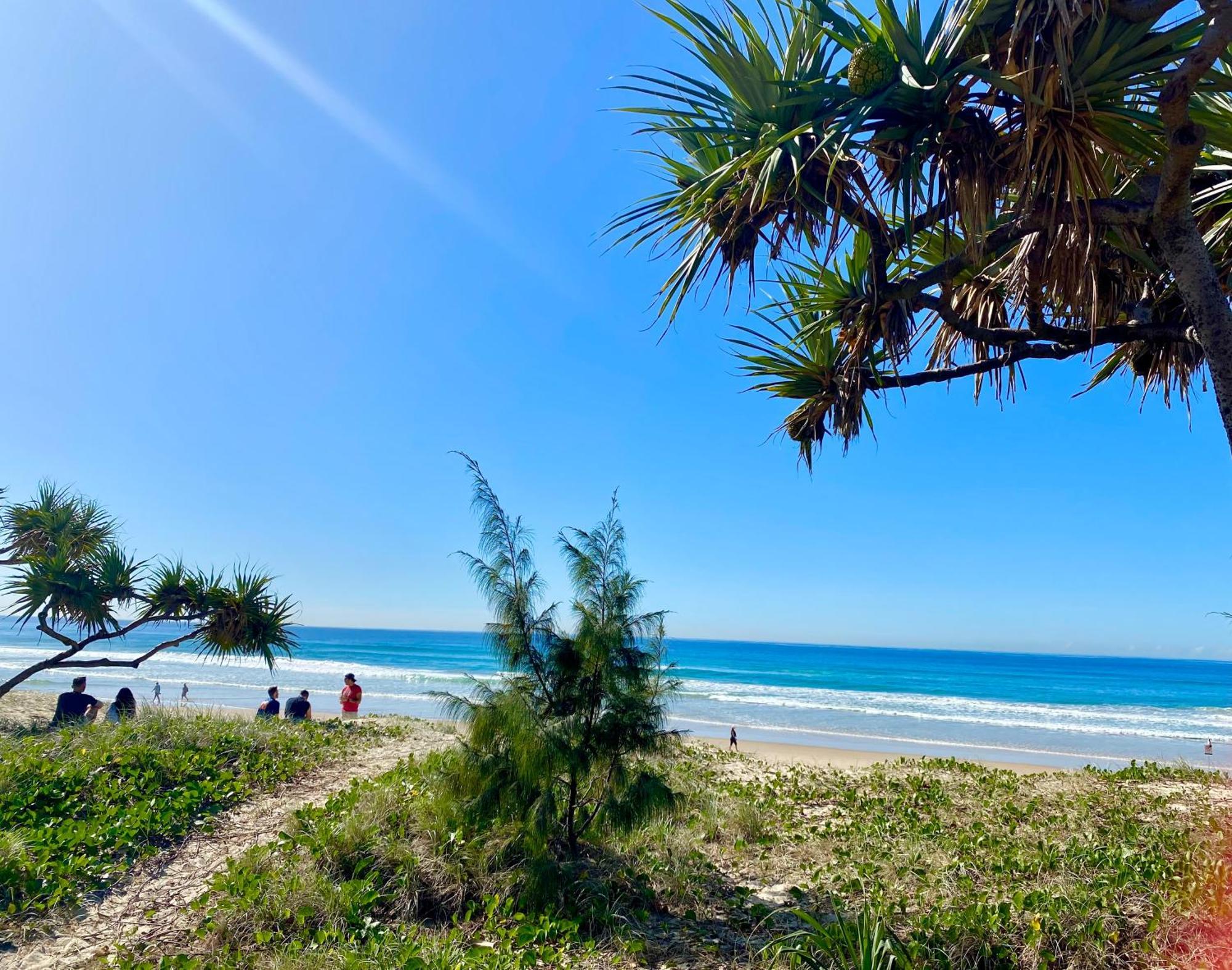 Ocean Front Studio, 2beds, Free Wi-fi